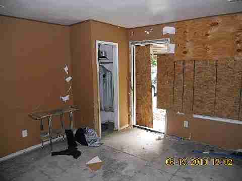 15017 Dolphin (11)_m.jpg